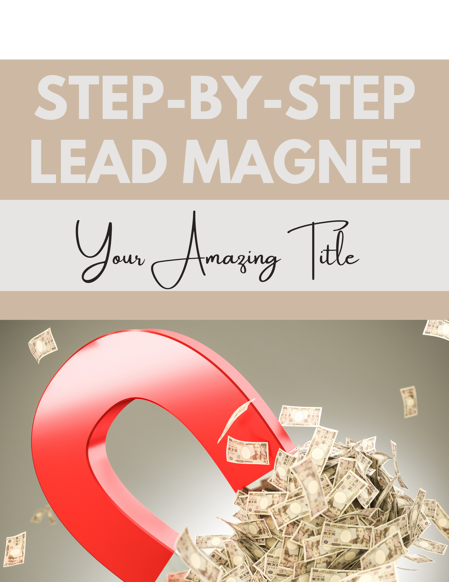 PLR Step by Step Lead Magnet Template